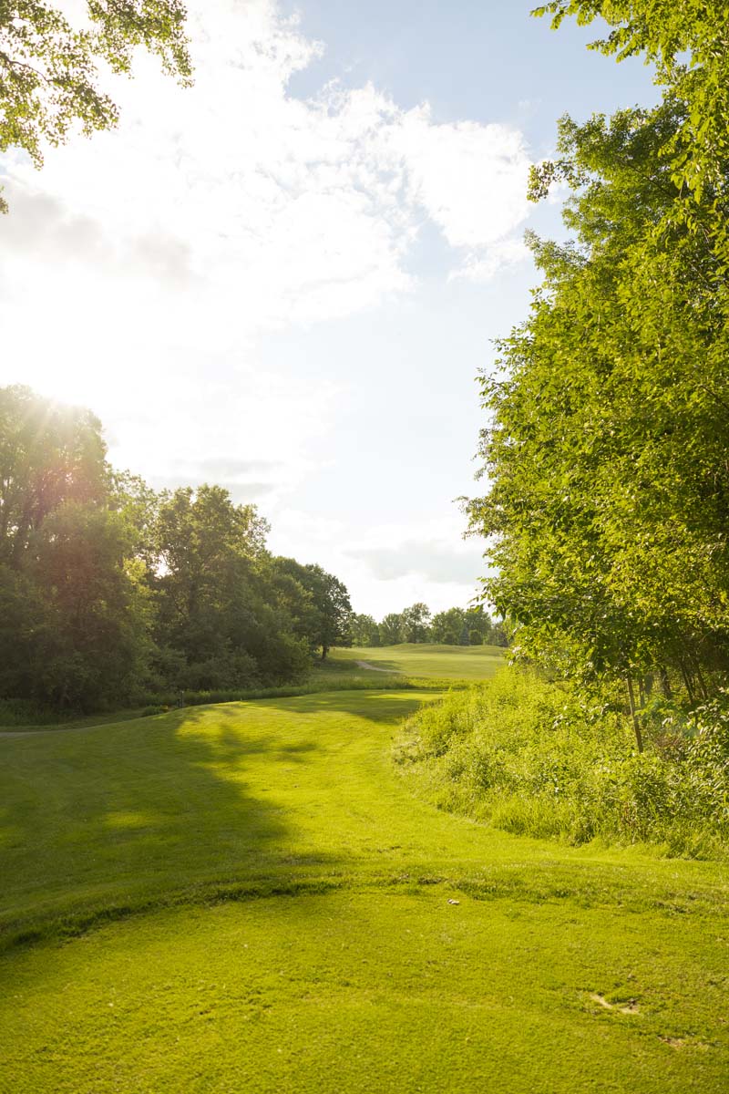 Golf course fairway with trees